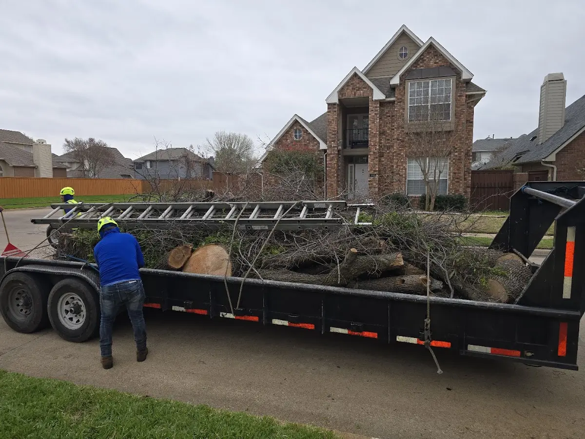 Expert Crown Reduction with proper safety equipment in Rootstown